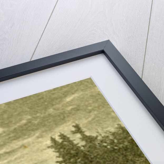 Winter Time Deer Austria 1891 by Anonymous