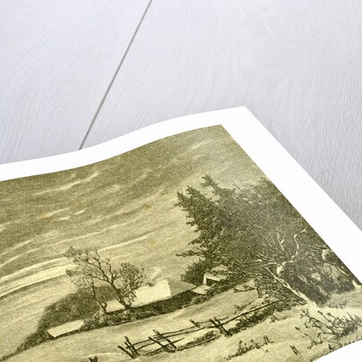 Winter Time Deer Austria 1891 by Anonymous