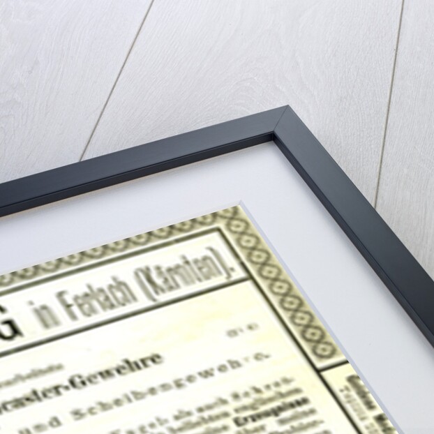 Hunt Gun Austria 1891 by Anonymous