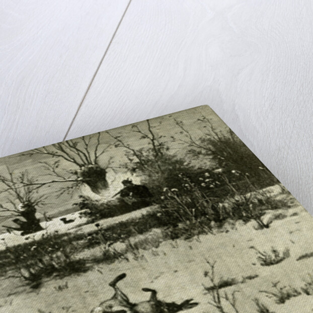 Hunt Austria 1891 by Anonymous