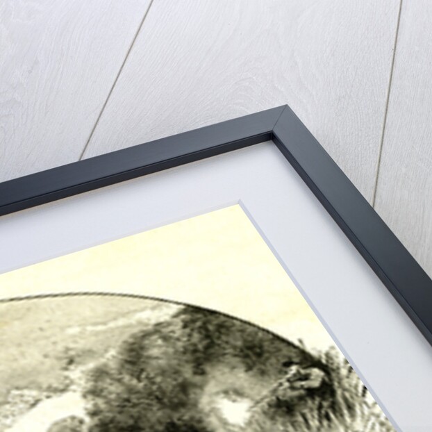 Hunt Austria 1891 by Anonymous