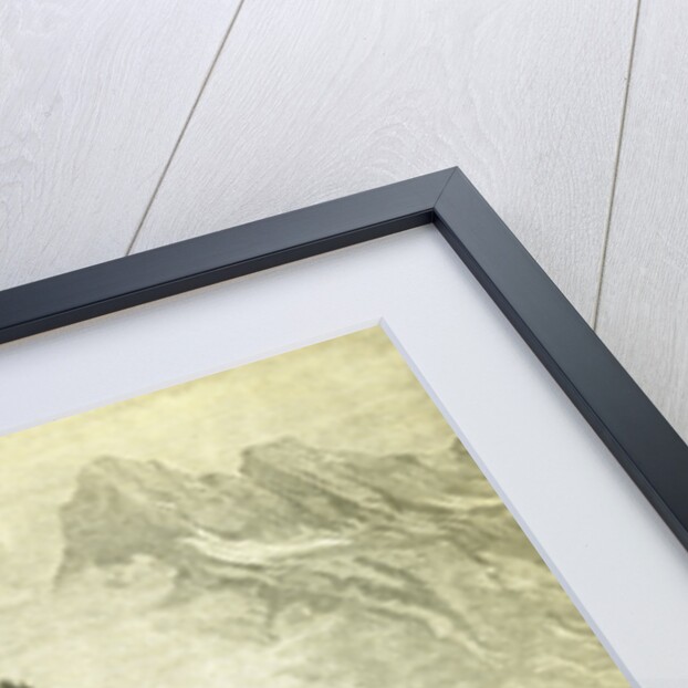 Hunt Austria Deer 1891 by Anonymous