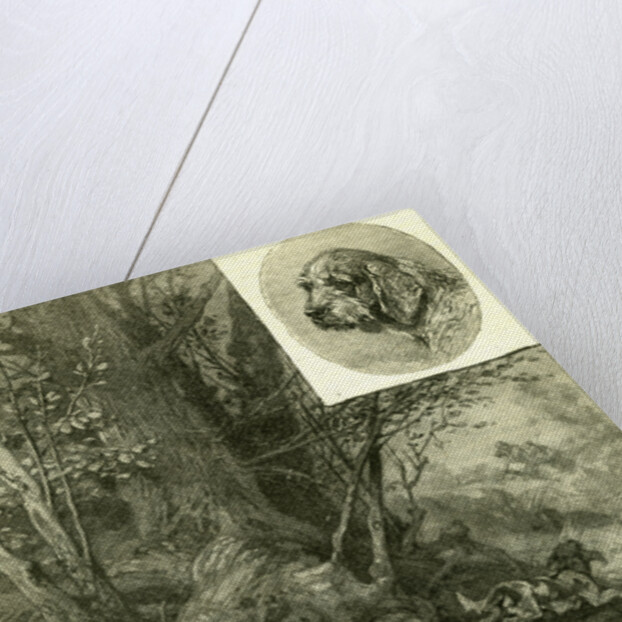 Dogs Hunting Austria 1891 by Anonymous