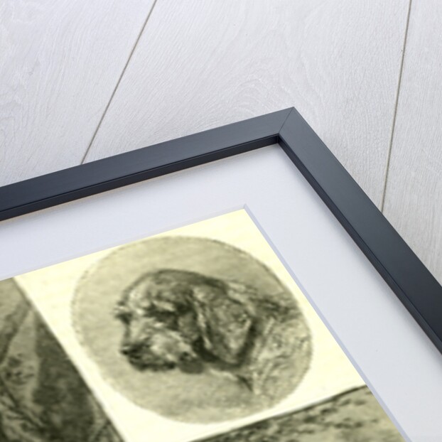 Dogs Hunting Austria 1891 by Anonymous