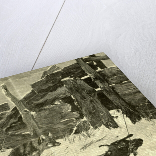 Fox Hunt Austria 1891 by Anonymous