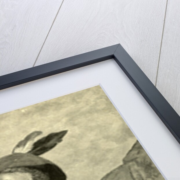 Hunt Austria 1891 by Anonymous