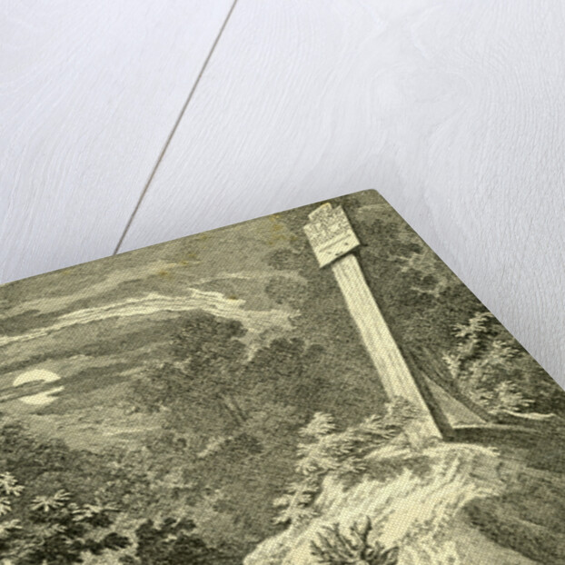 Stag Austria 1891 by Anonymous