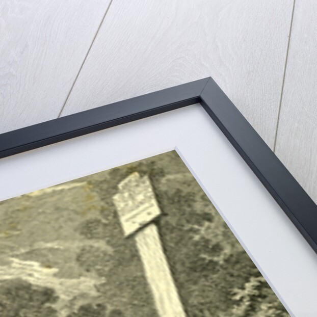 Stag Austria 1891 by Anonymous