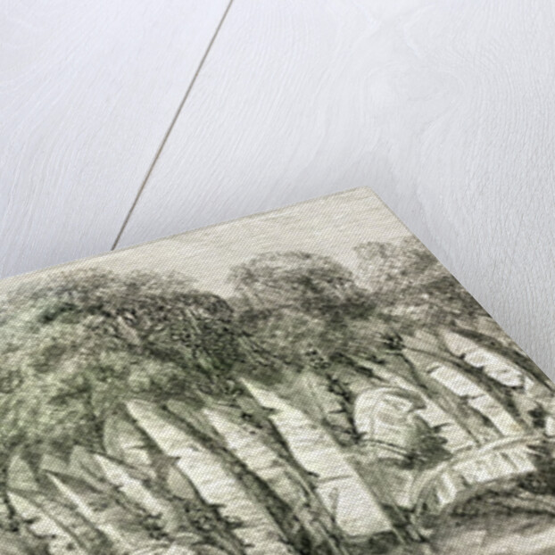 Ucayali River Peru 1869 by Anonymous