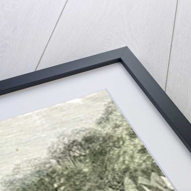 Ucayali River Peru 1869 by Anonymous