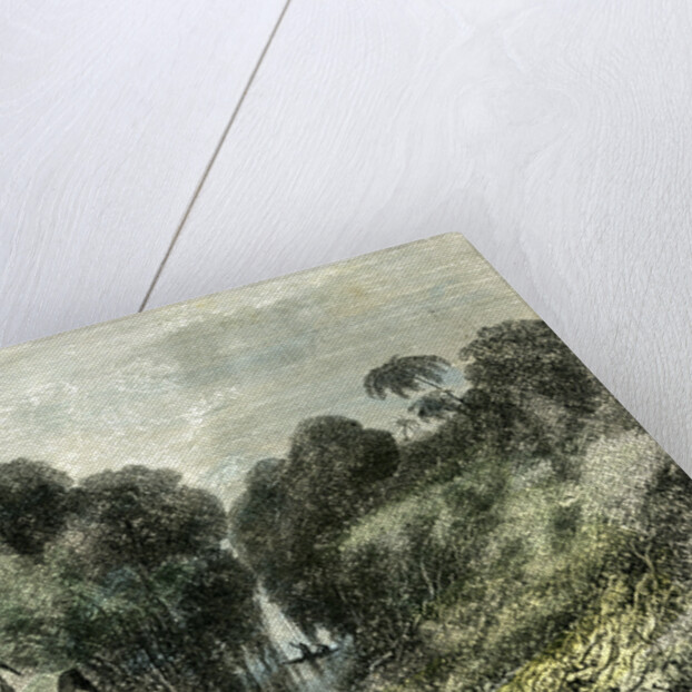 Sarayacu River Peru 1869 by Anonymous