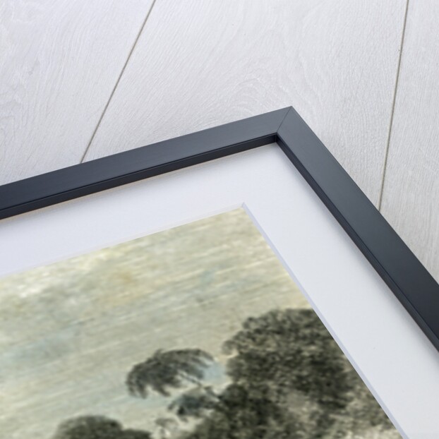 Sarayacu River Peru 1869 by Anonymous