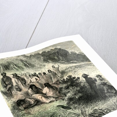 Peru 1869 by Anonymous