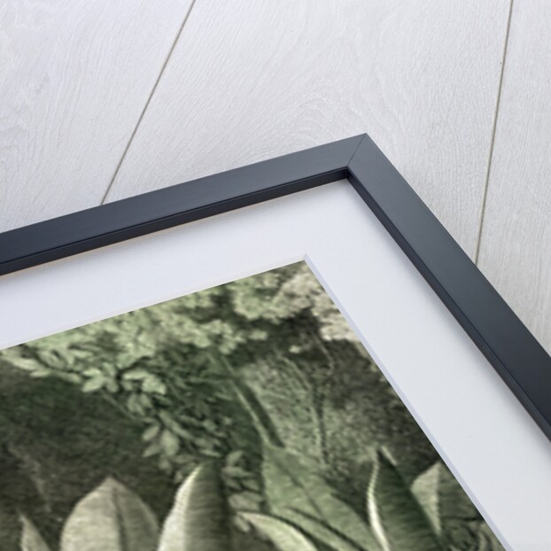 Ucayali Peru 1869 by Anonymous