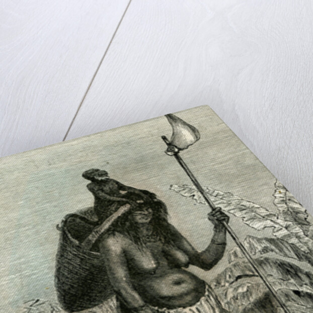 Plantation Peru 1869 by Anonymous