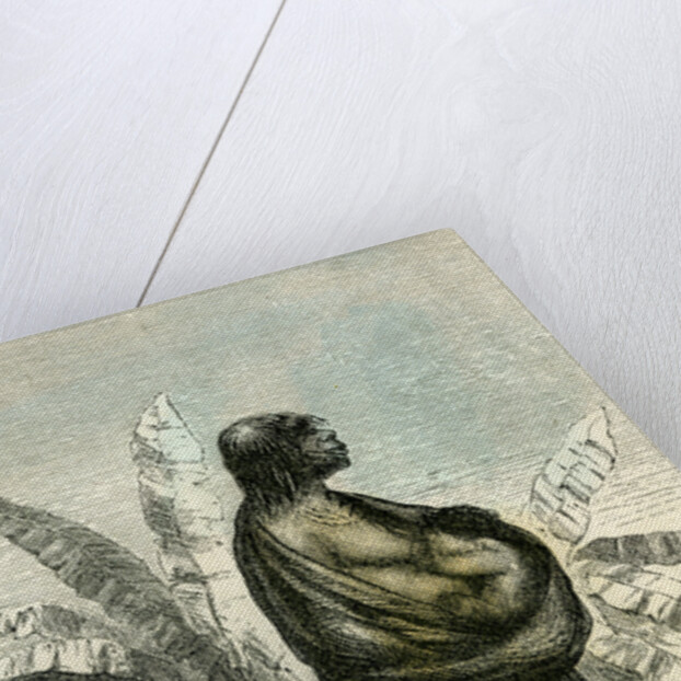 Conibo Mother Peru 1869 by Anonymous