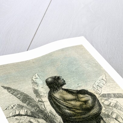 Conibo Mother Peru 1869 by Anonymous