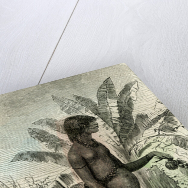 Conibo Girl Peru 1869 by Anonymous