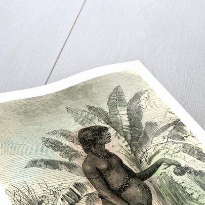 Conibo Girl Peru 1869 by Anonymous