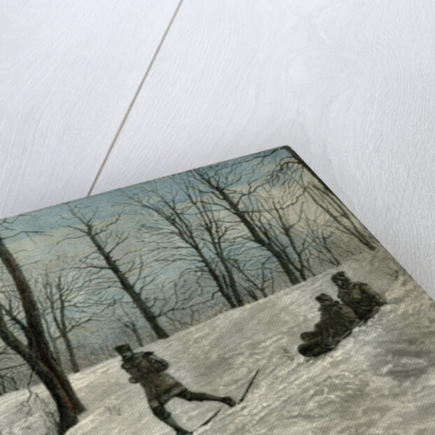 Mont Royal Canada 19th Century by Anonymous