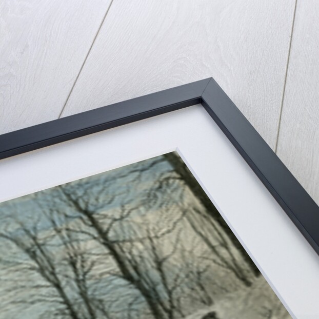 Mont Royal Canada 19th Century by Anonymous