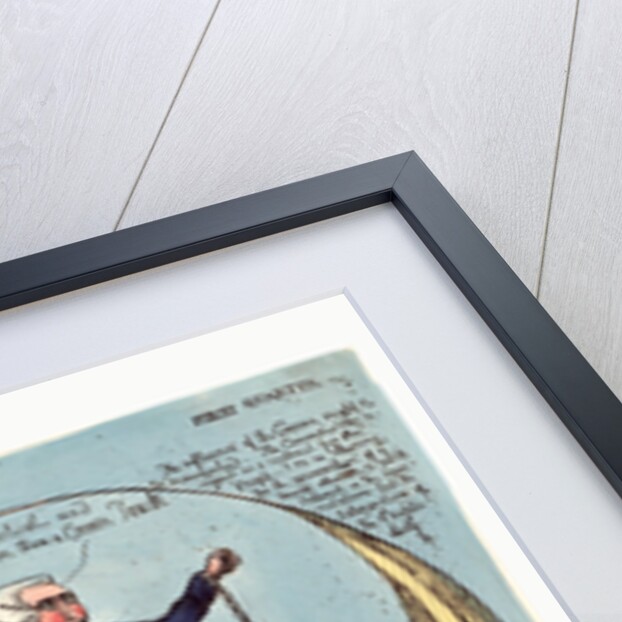 Sublime and beautiful reflections on the French revolution by Anonymous