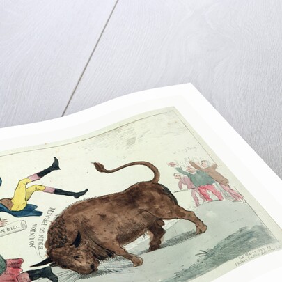 The Irish bull broke loose by Isaac Cruikshank