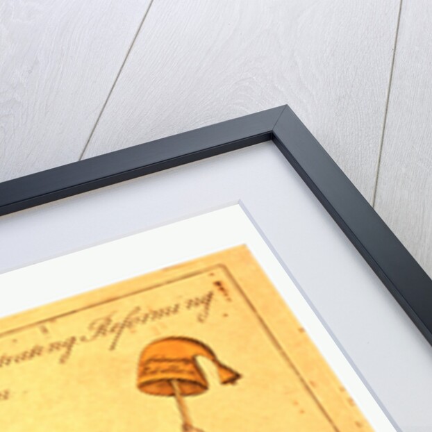 A petitioning, remonstrating, reforming, republican by Anonymous