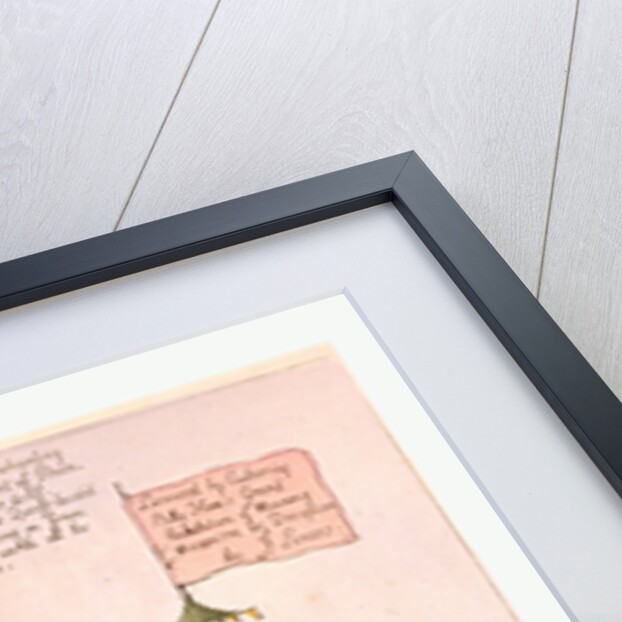 Billy's Raree-Show or John Bull en lighten'd by Anonymous