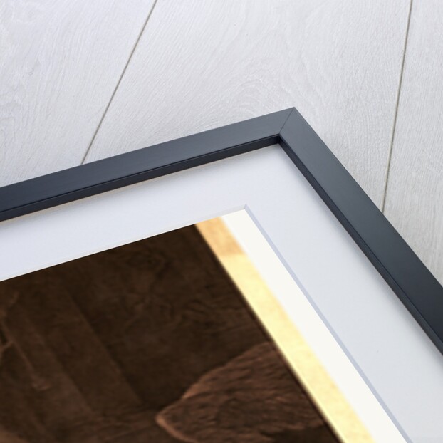 The tea-tax-tempest, or the Anglo-American revolution by Anonymous