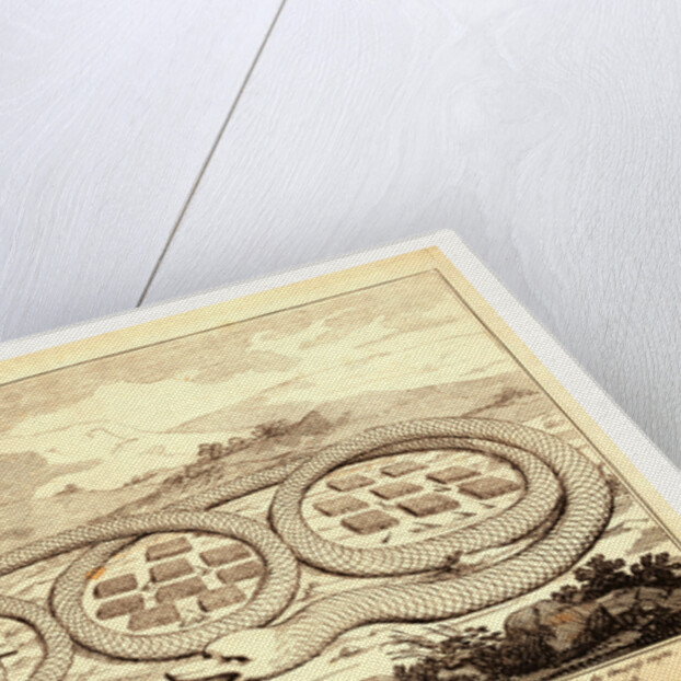 The American rattle snake by Anonymous