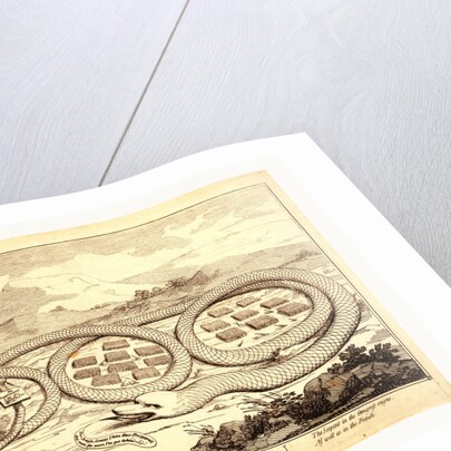 The American rattle snake by Anonymous