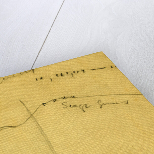 Map of Battlefield, gun and troop placement by Anonymous