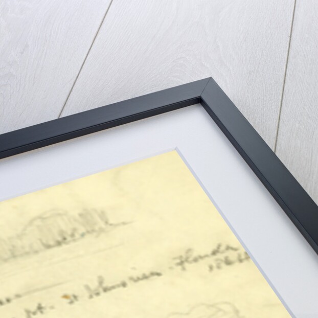 Chimney Pt. St. Johns river, Florida by Anonymous