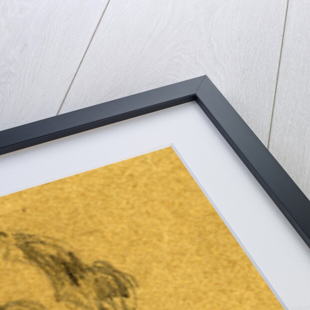 Confederate General William Joseph Hardee, between 1862 November and 1863 January by Anonymous