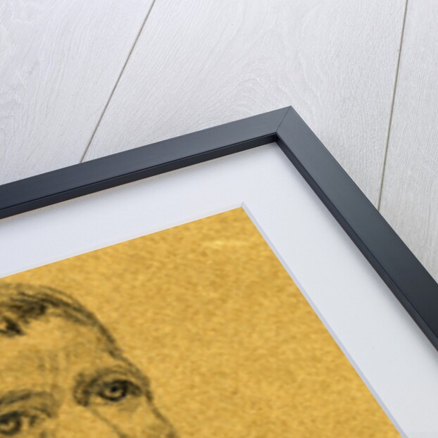 Confederate General John Bell Hood by Anonymous