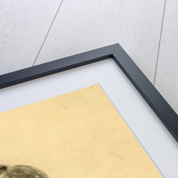 Lt. Genl. A.P. Stewart by Anonymous