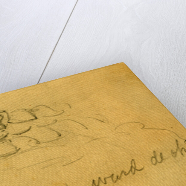 Corn piled up on forward deck by Anonymous