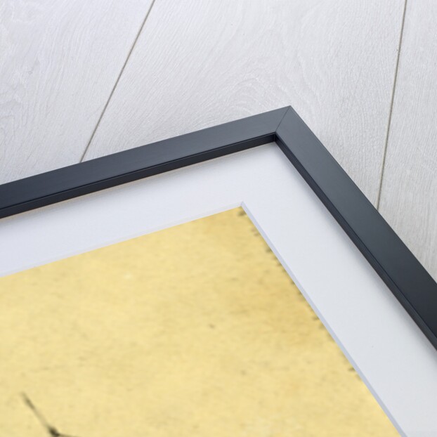 U.S. Transport Cahawba by Alfred R Waud