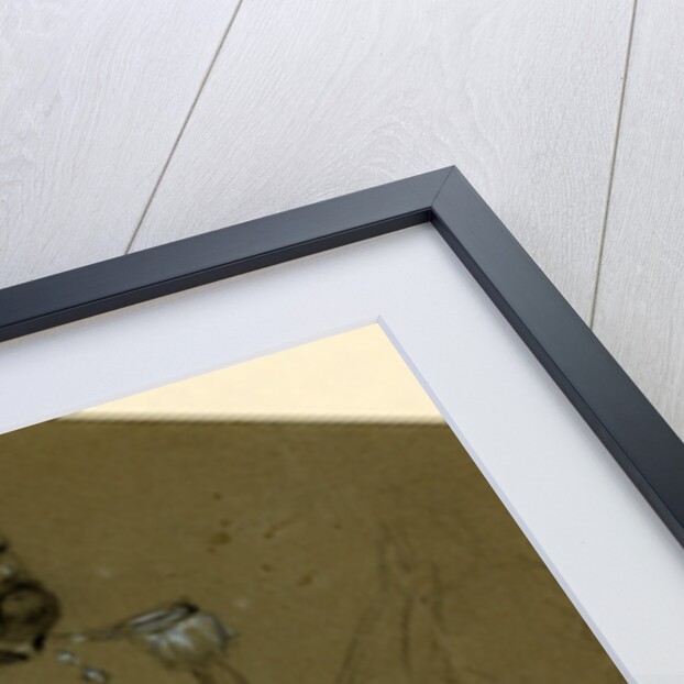 Genl. Franklin by Alfred R Waud