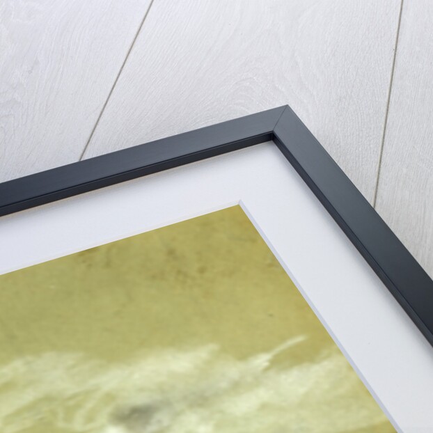 Fair Oaks, scene of the battle (drawn a day or two before the Confederate assault), 1862 ca. May 31, 1862-1865 by Alfred R Waud