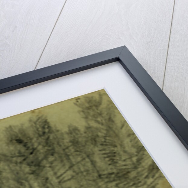 5th Corps, 7th of February 1865 by Alfred R Waud