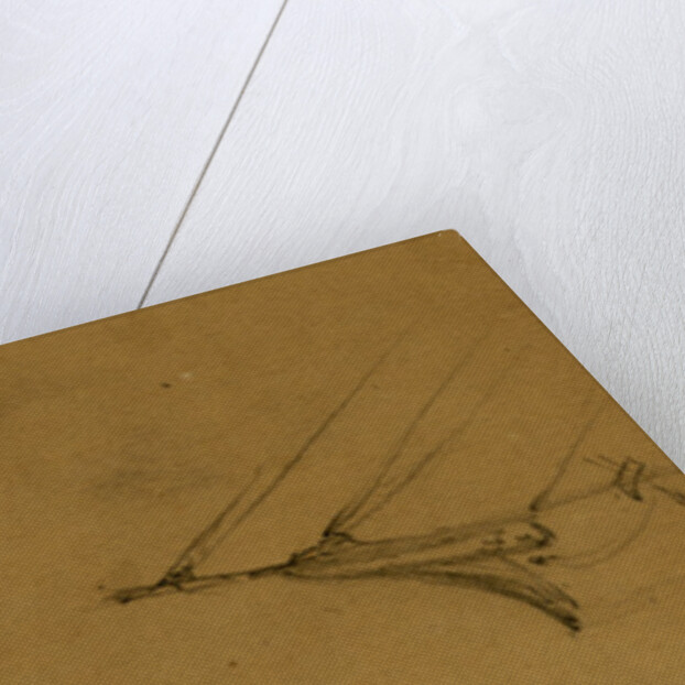 Saxonia by Alfred R Waud