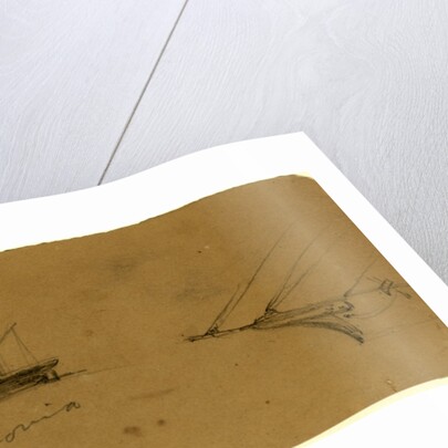 Saxonia by Alfred R Waud