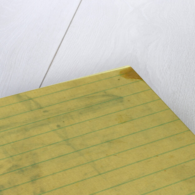 Water Witch by Alfred R Waud