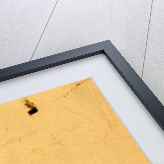 Salute of 161 guns, 1861 by Alfred R Waud