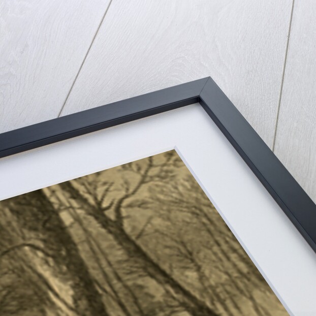 Major-General Wadsworth fighting in the Wilderness, 1864 May 5-7 by Alfred R Waud