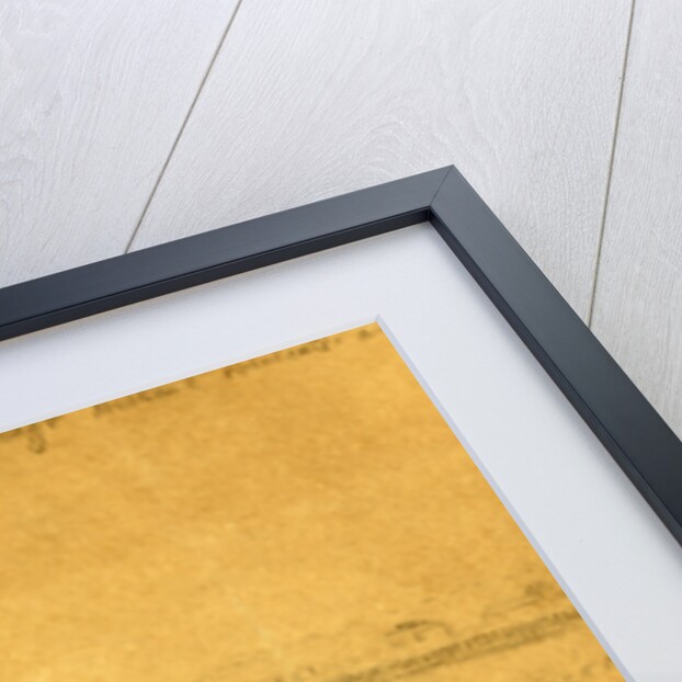 First military execution in Washington; hanging of a private for shooting his superior officer, 1862 January 6 by Alfred R Waud