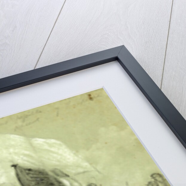 Flag of Truce by Alfred R Waud