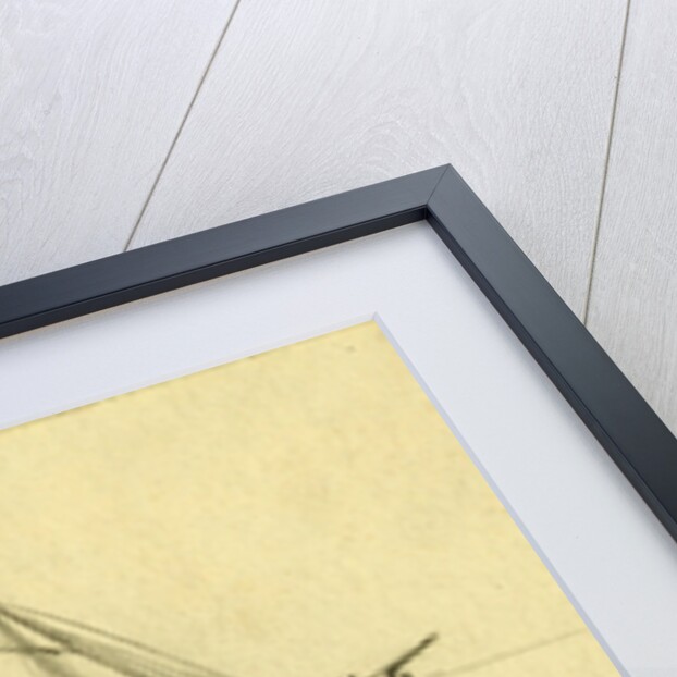 Destruction of Housatonic by a rebel torpedo. Feb. of 17 1864. Charleston by Alfred R Waud